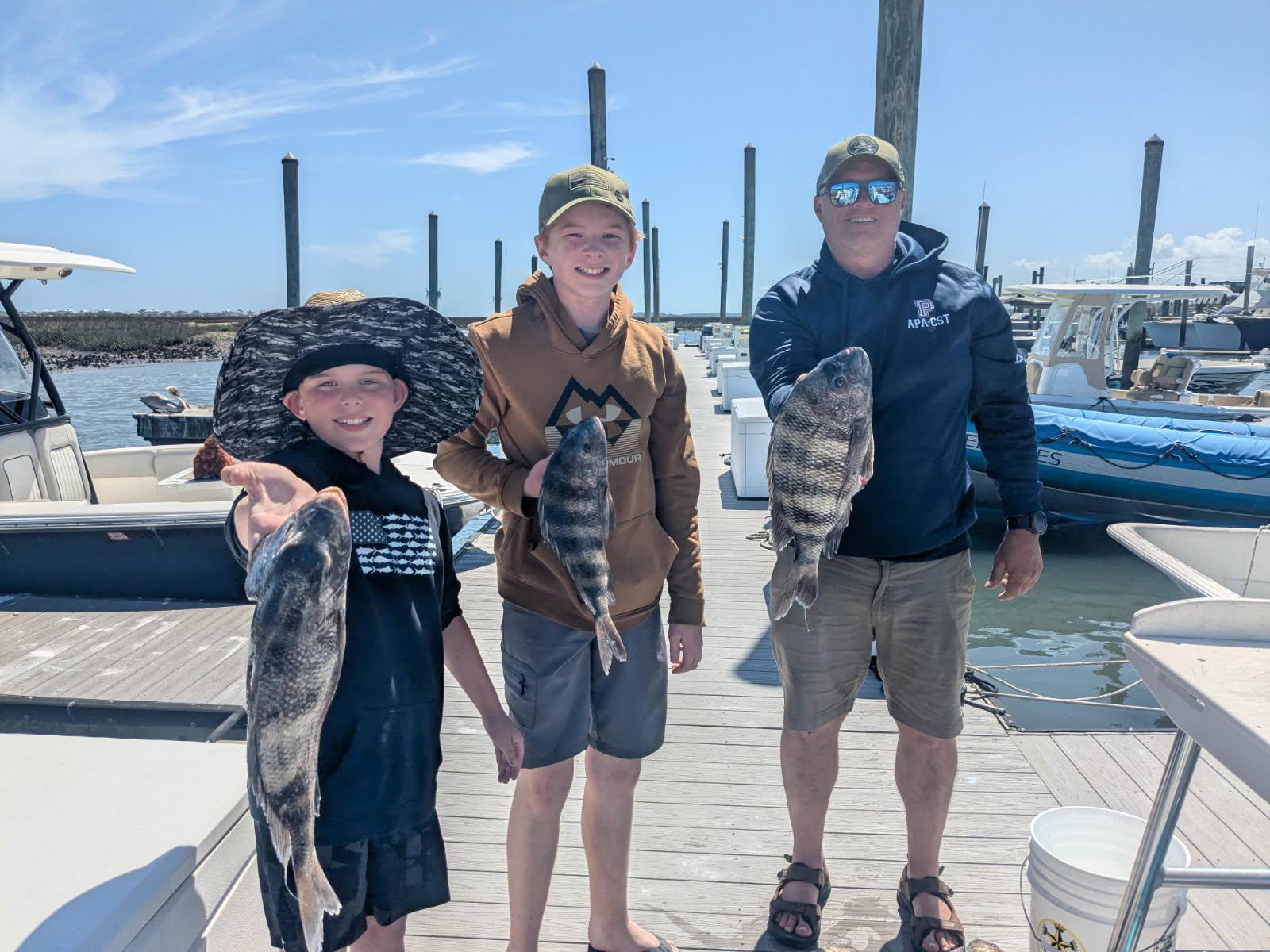 Three sheepshead fish caught during fishing trip at Murrells Inlet SC marina dock