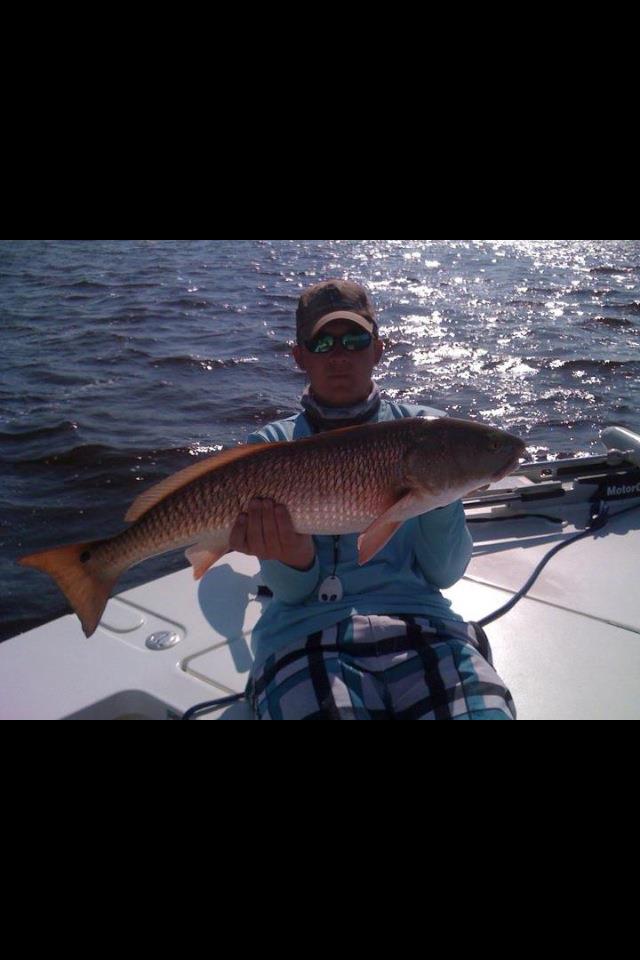 Angler catches big 29-inch fish in Fort Myers