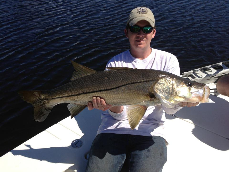 Snook, a 33-inch fish, caught while fishing in FL