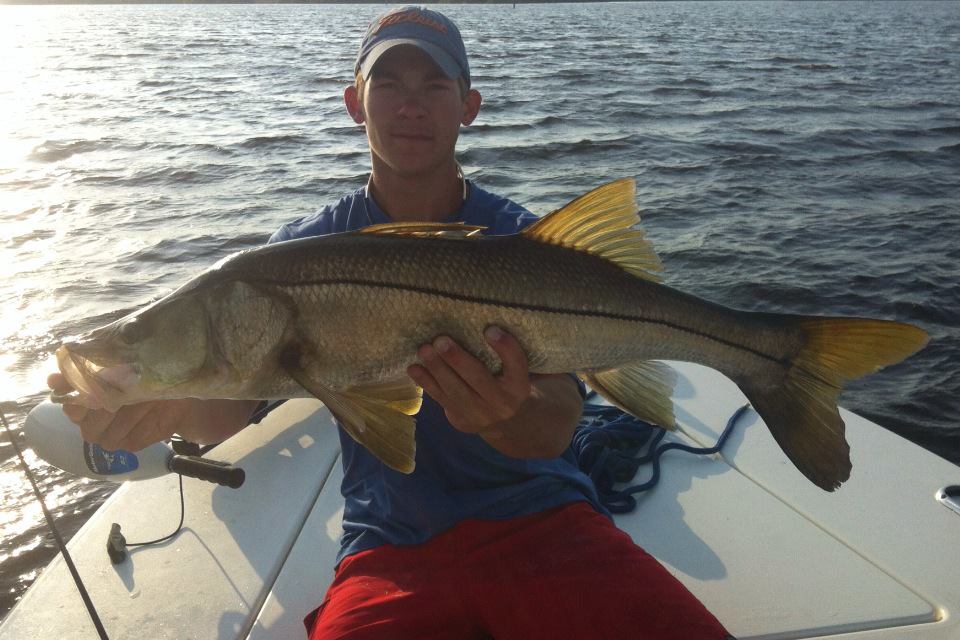Snook caught fishing in Fort Myers