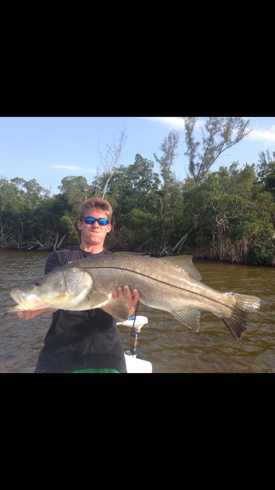 Snook fish caught by angler in Fort Myers