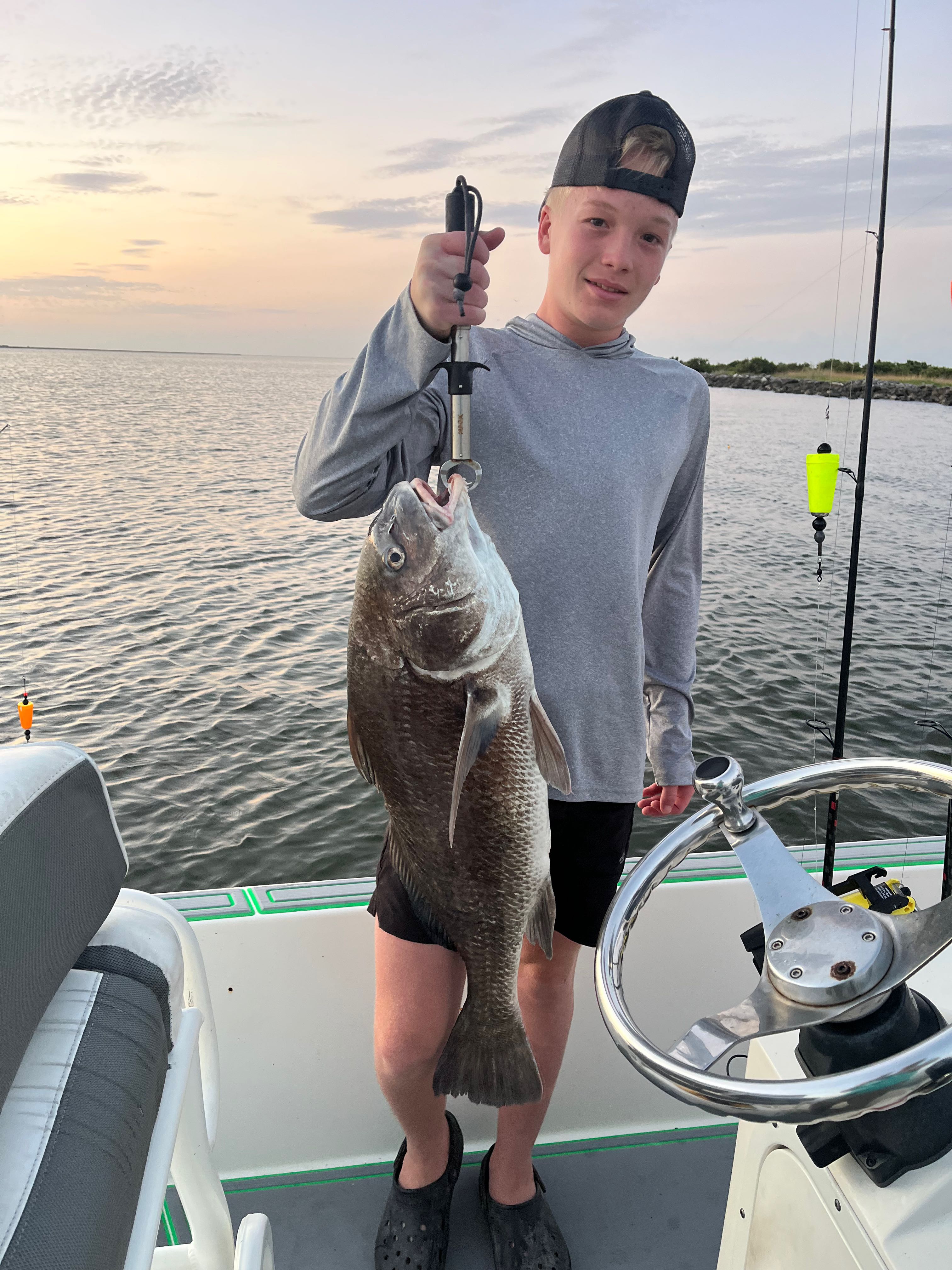 Black drum caught fishing in St Bernard Louisiana waters from boat