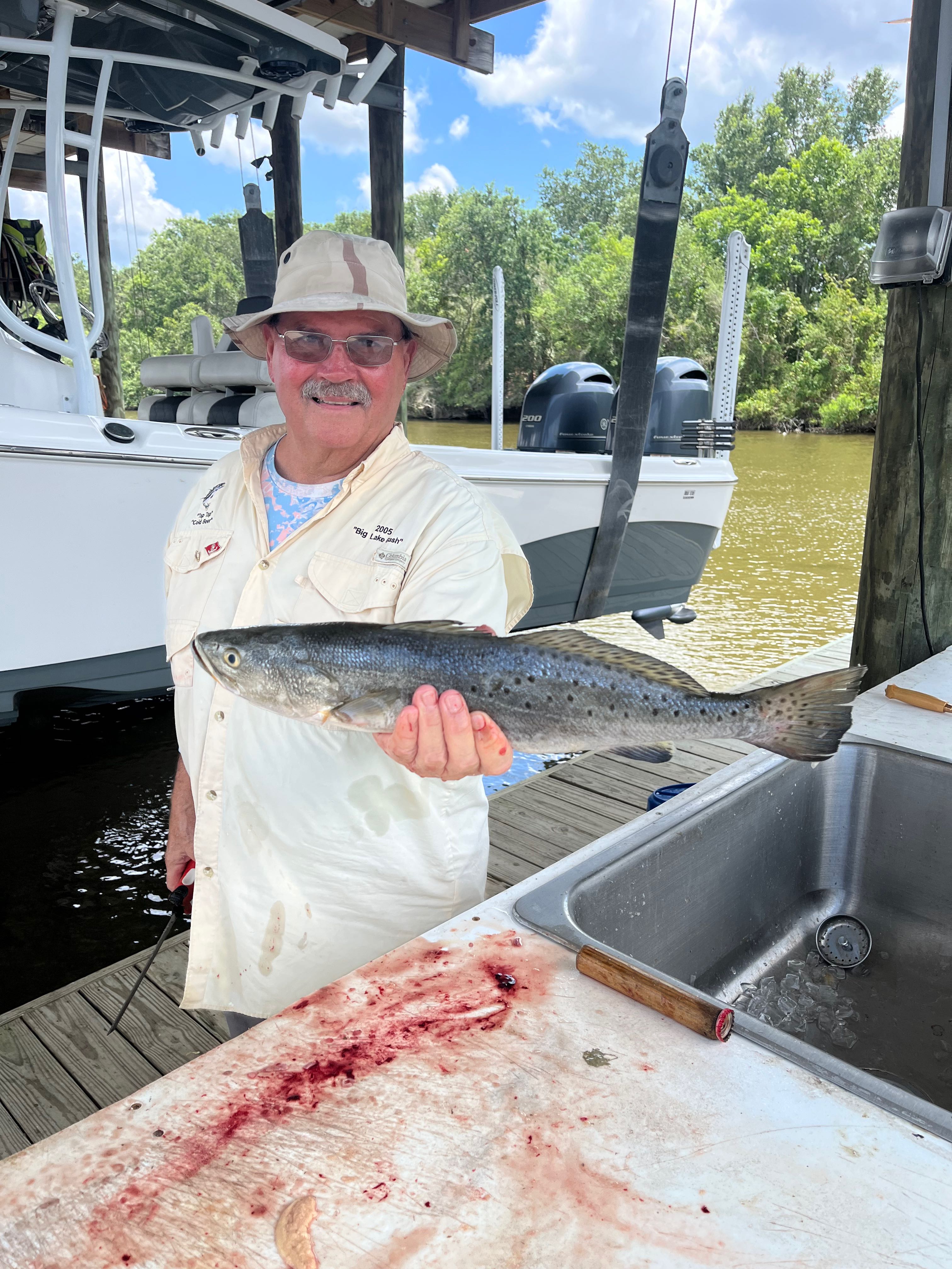 Freshly caught speckled trout being held at fishing dock in St Bernard LA