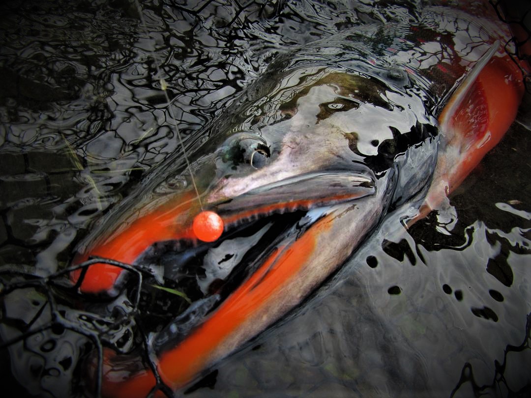 Fishing in Alaska