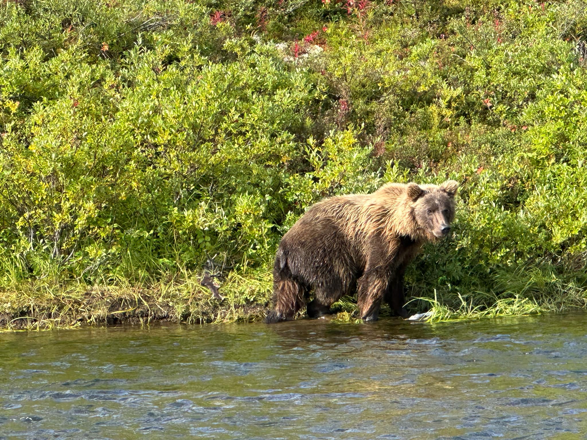 Fishing in Alaska
