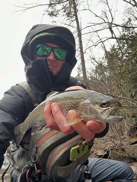 Half-day fly fishing guide trip on mountain rivers near Flat Rock NC for trout angling