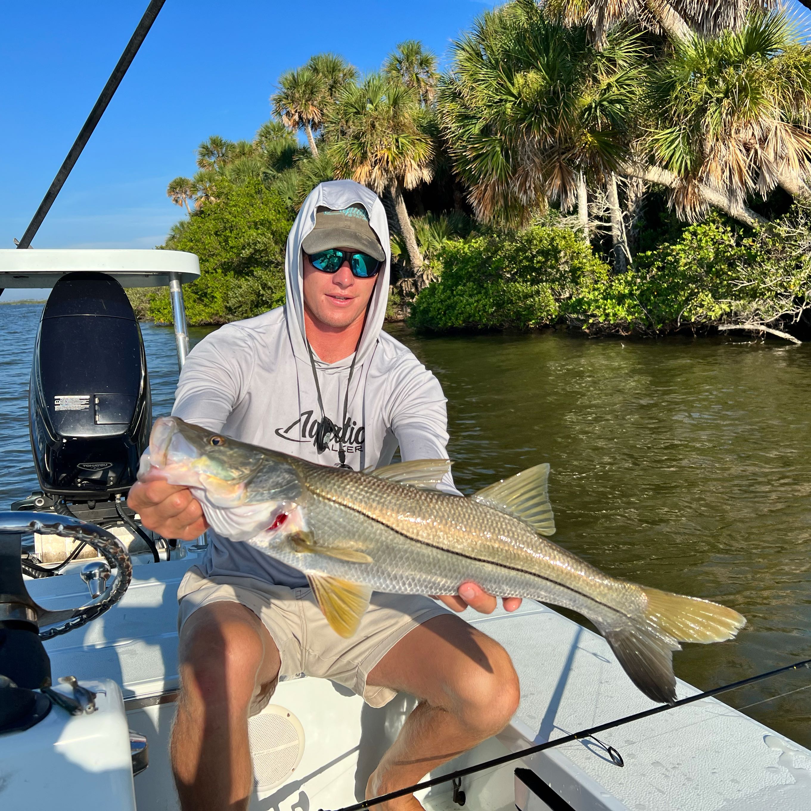 A large snook fish caught while fishing in Oak Hill