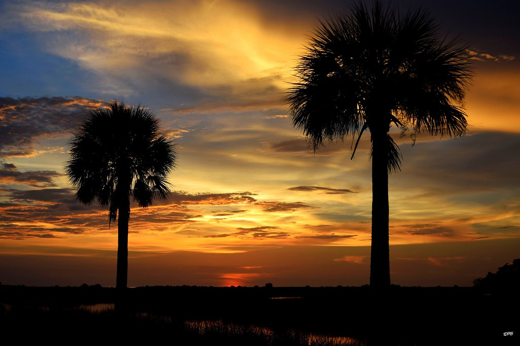 Sunrise boat tour departing at 6AM from Spring Hill FL near Weeki Wachee Gulf waters