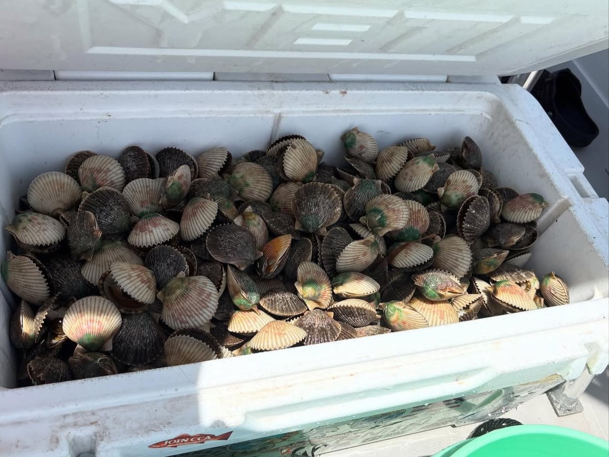 Scalloping and sandbar charter boat in Spring Hill FL with snorkeling gear and guests