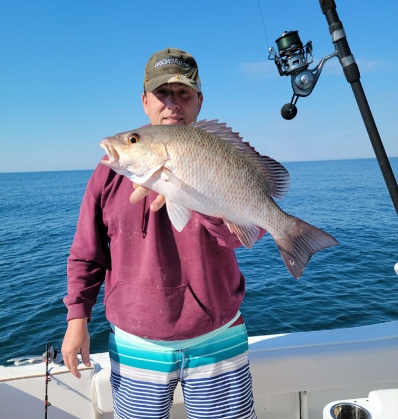 One grey snapper fish caught while fishing in FL