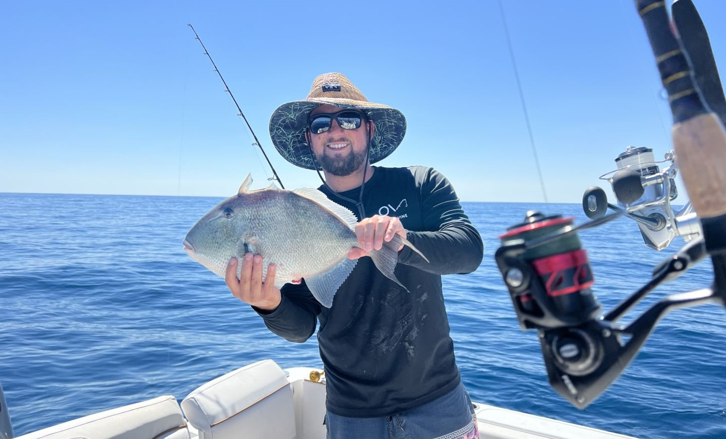 Grey Triggerfish caught while fishing in Melbourne