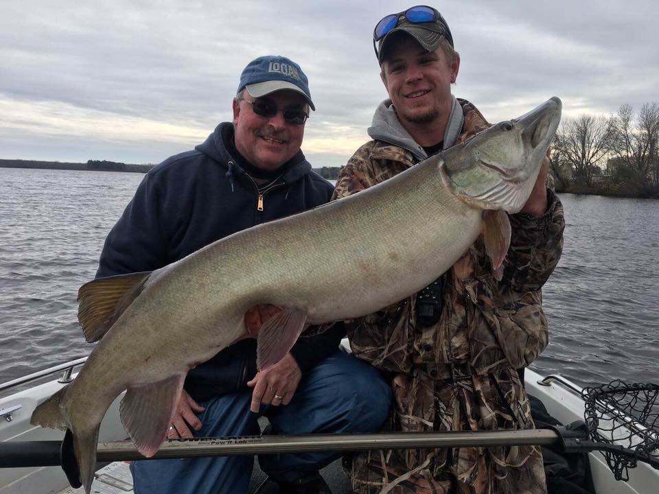 Muskellunge, 34 inches, caught in WI