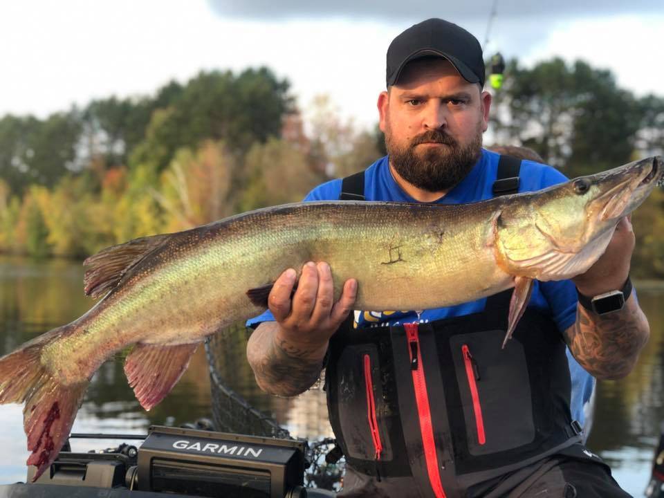 Muskellunge, a 30-inch freshwater fish, caught in Phillips
