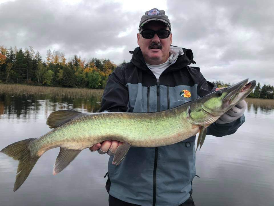 Muskellunge caught in Phillips
