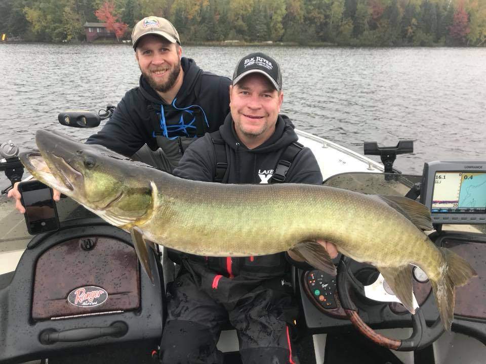 A muskellunge, a large freshwater fish, caught in Phillips