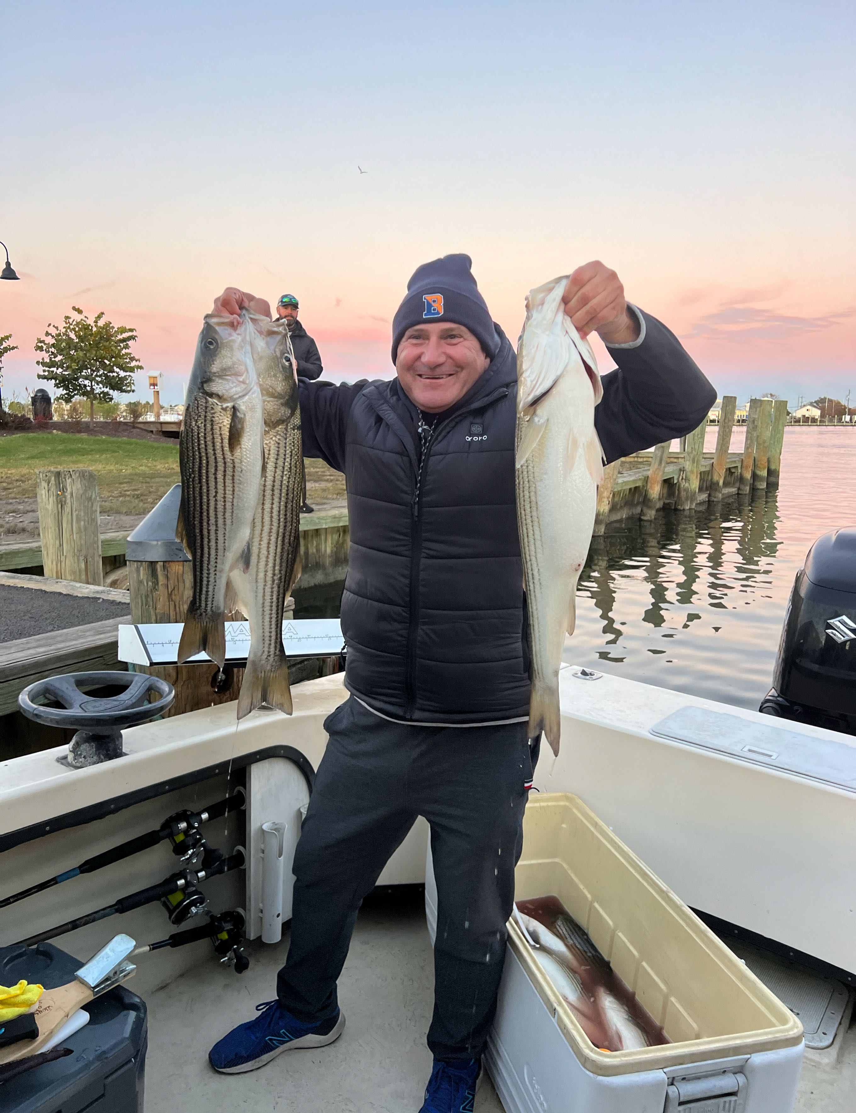 Two striped bass, 115 inches, caught while fishing in Stevensville