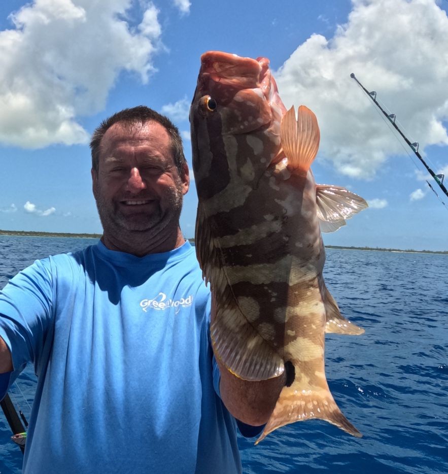 Nassau Grouper caught while fishing in Santa Barbara CA