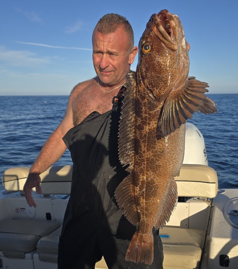 Large lingcod catch displayed on fishing boat in Santa Barbara CA waters