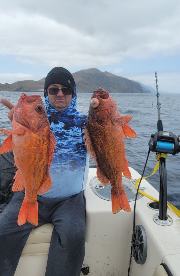 Two vermilion rockfish caught while fishing in Santa Barbara CA waters