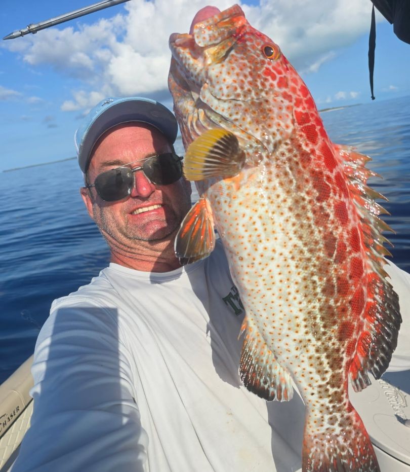 Yellowfin Grouper caught while fishing in Santa Barbara CA waters