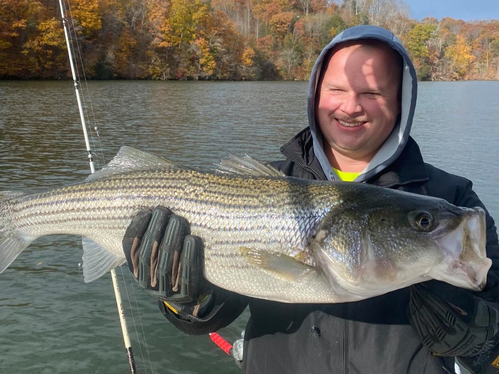 Striped bass caught while fishing in VA