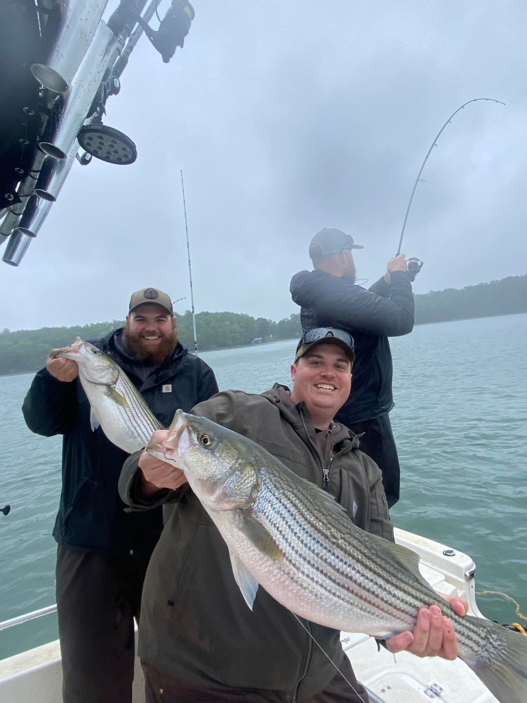 Striped bass caught fishing in VA