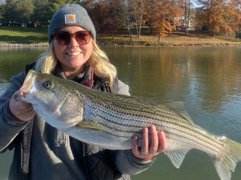 Striped bass caught in Moneta