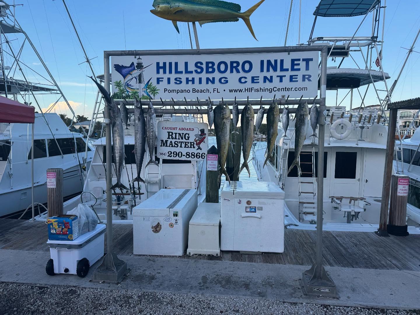7 mahi mahi, king mackerel, and wahoo fish caught while fishing in Pompano Beach
