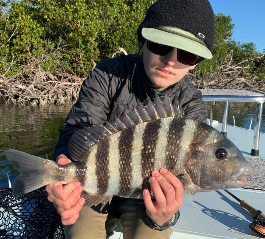 Sheepshead fish caught while fishing in FL