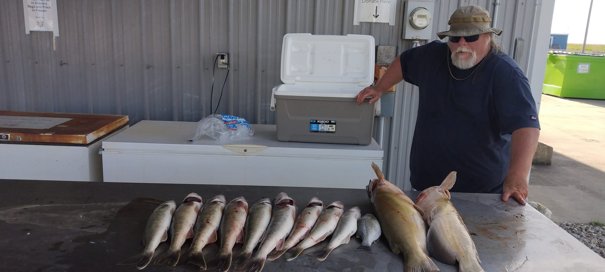 5 blue catfish caught in Wyandotte