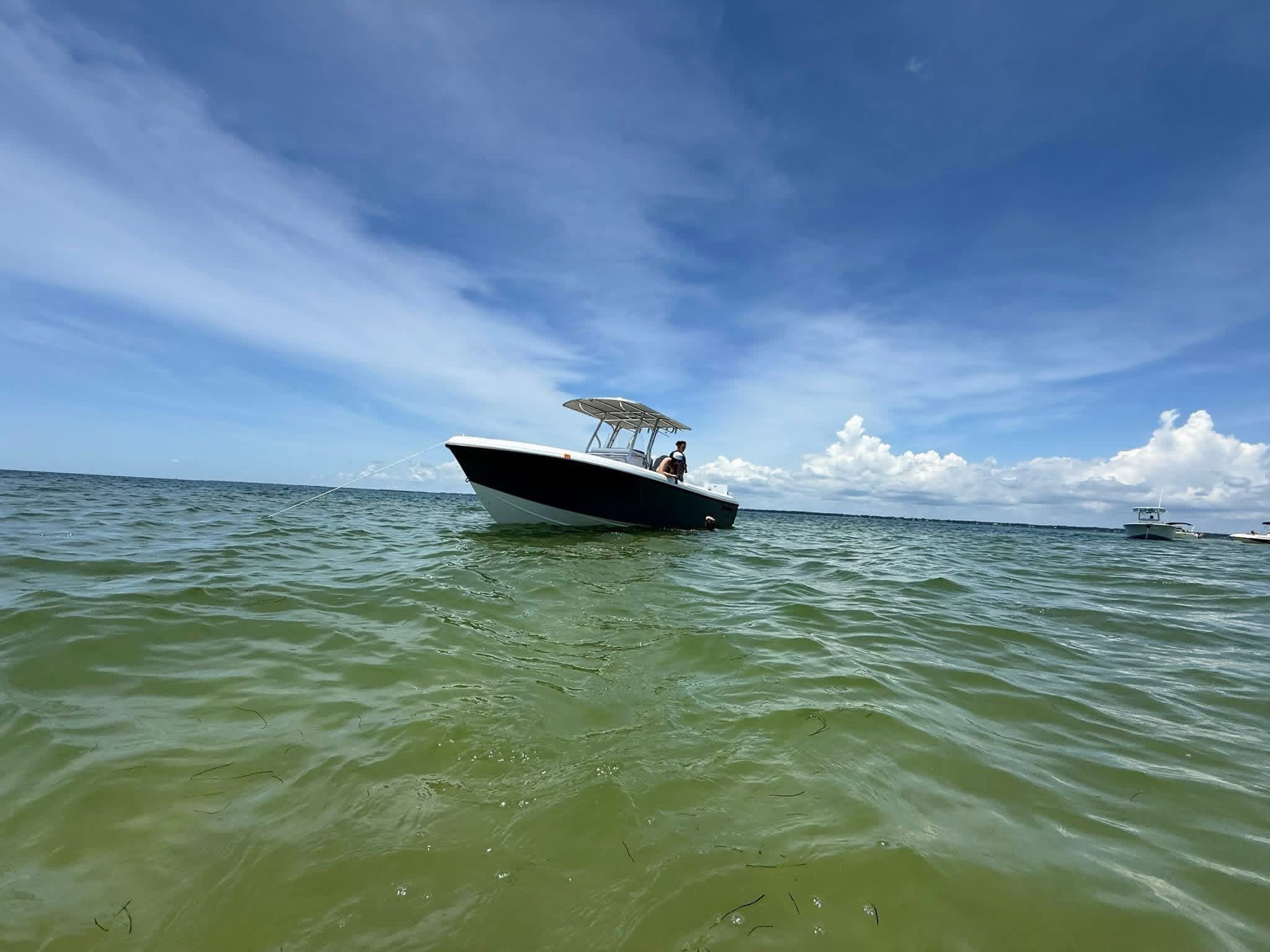 Drop Zone Fishing