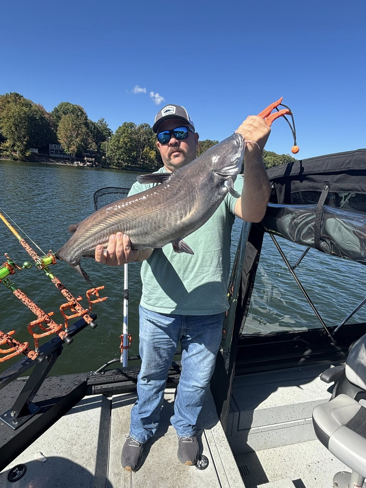 A single Blue Catfish caught fishing in Clover