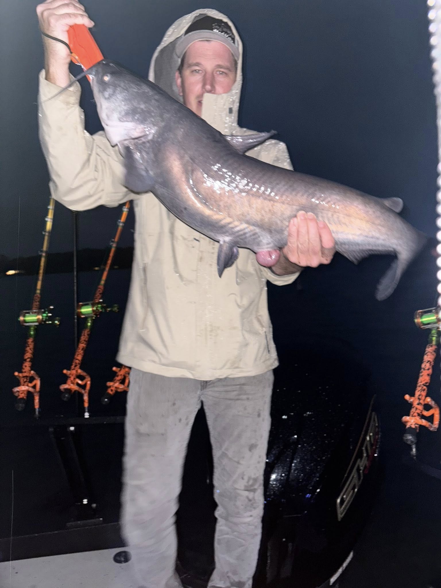 Hardhead Sea Catfish caught while fishing in SC