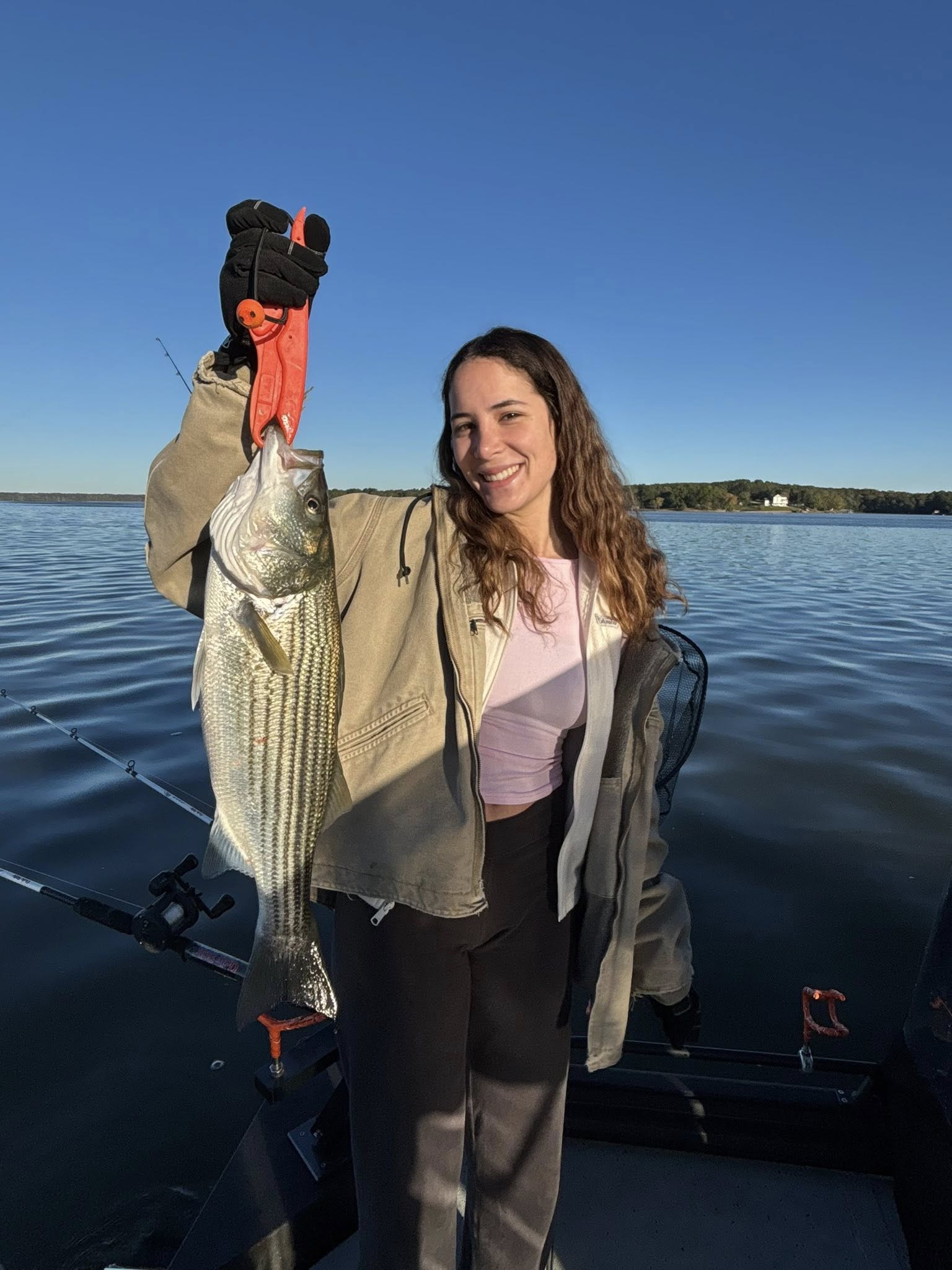 Striped bass caught while fishing in SC