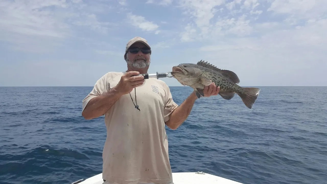 Gag Grouper fish caught fishing in FL