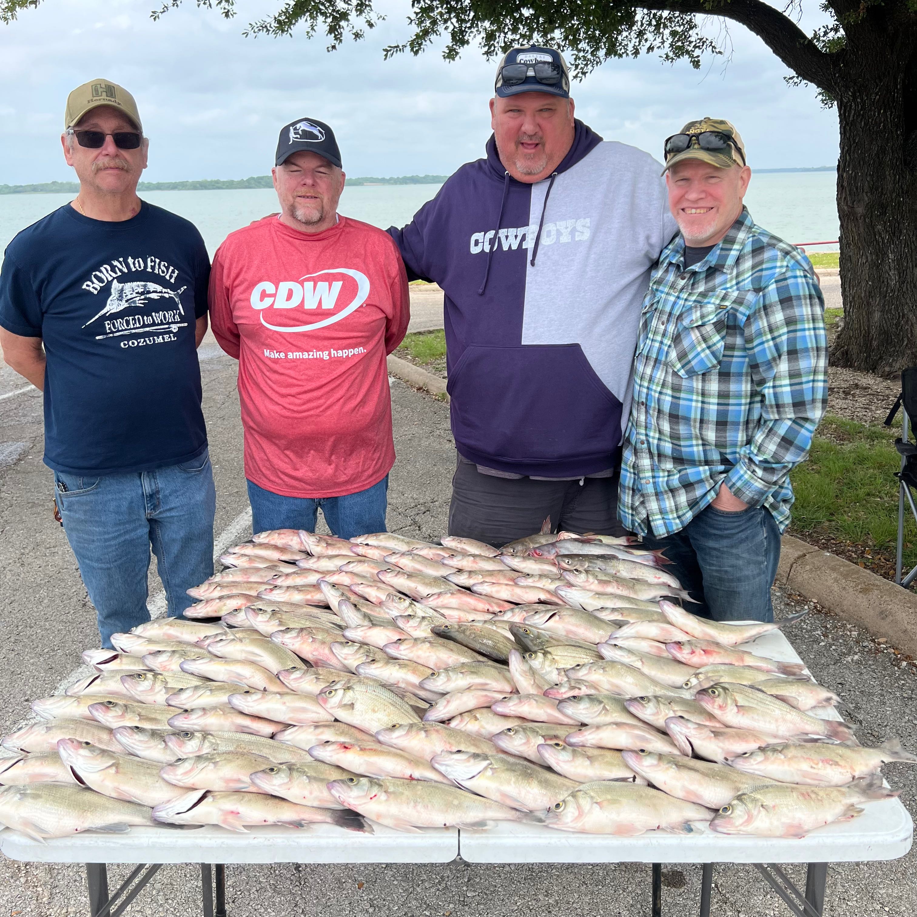 Large catch of white bass displayed on table after successful fishing trip in Wylie TX