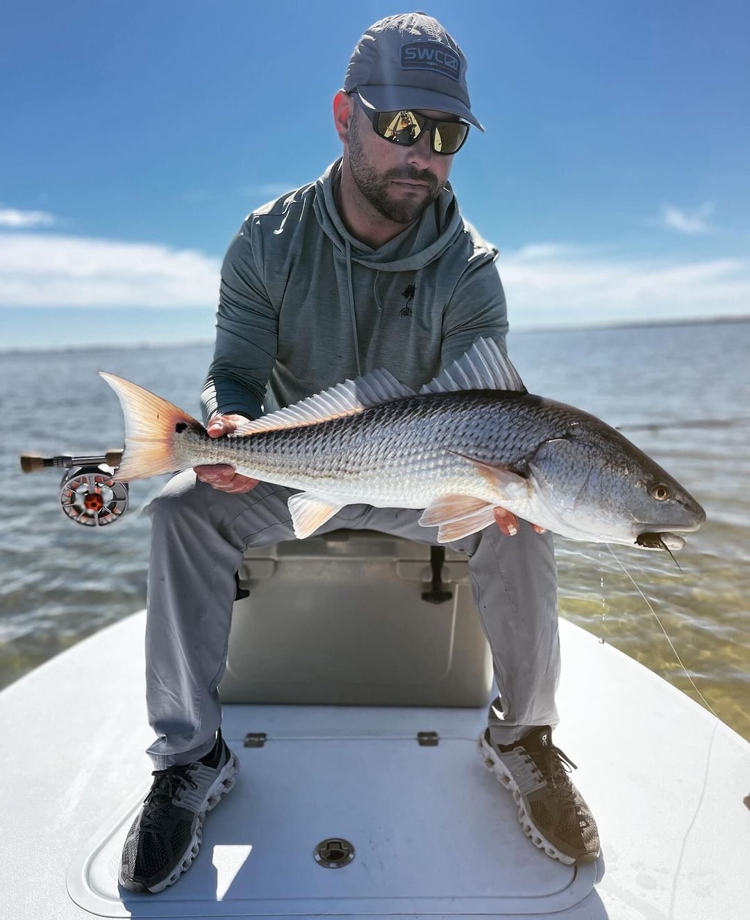 Angler with a large redfish catch in Safety Harbor