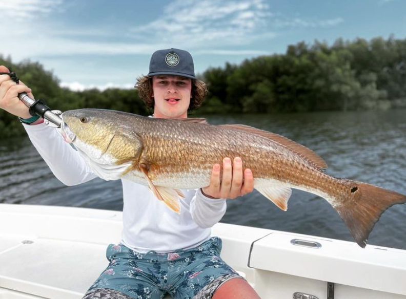 Angler catches a big redfish in Florida
