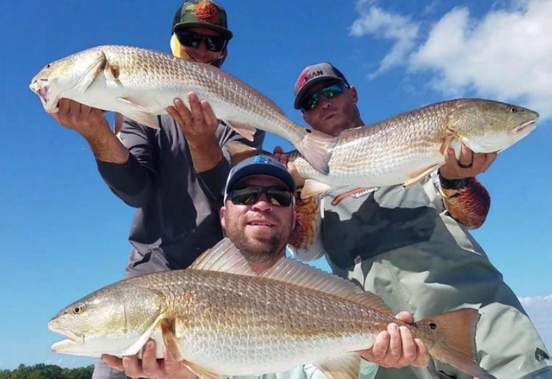 Three redfish caught in FL
