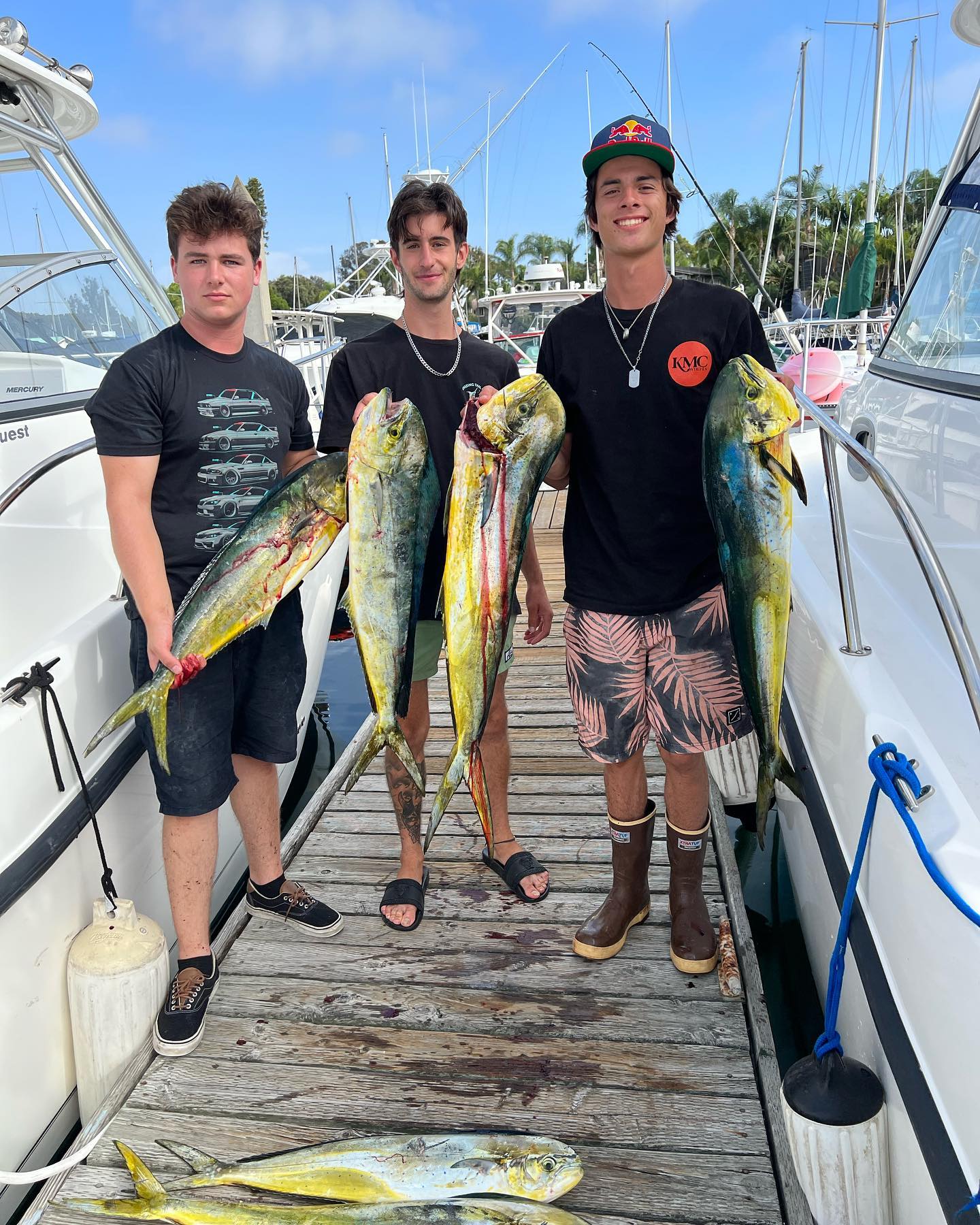 5 spanish mackerel, fishing in CA