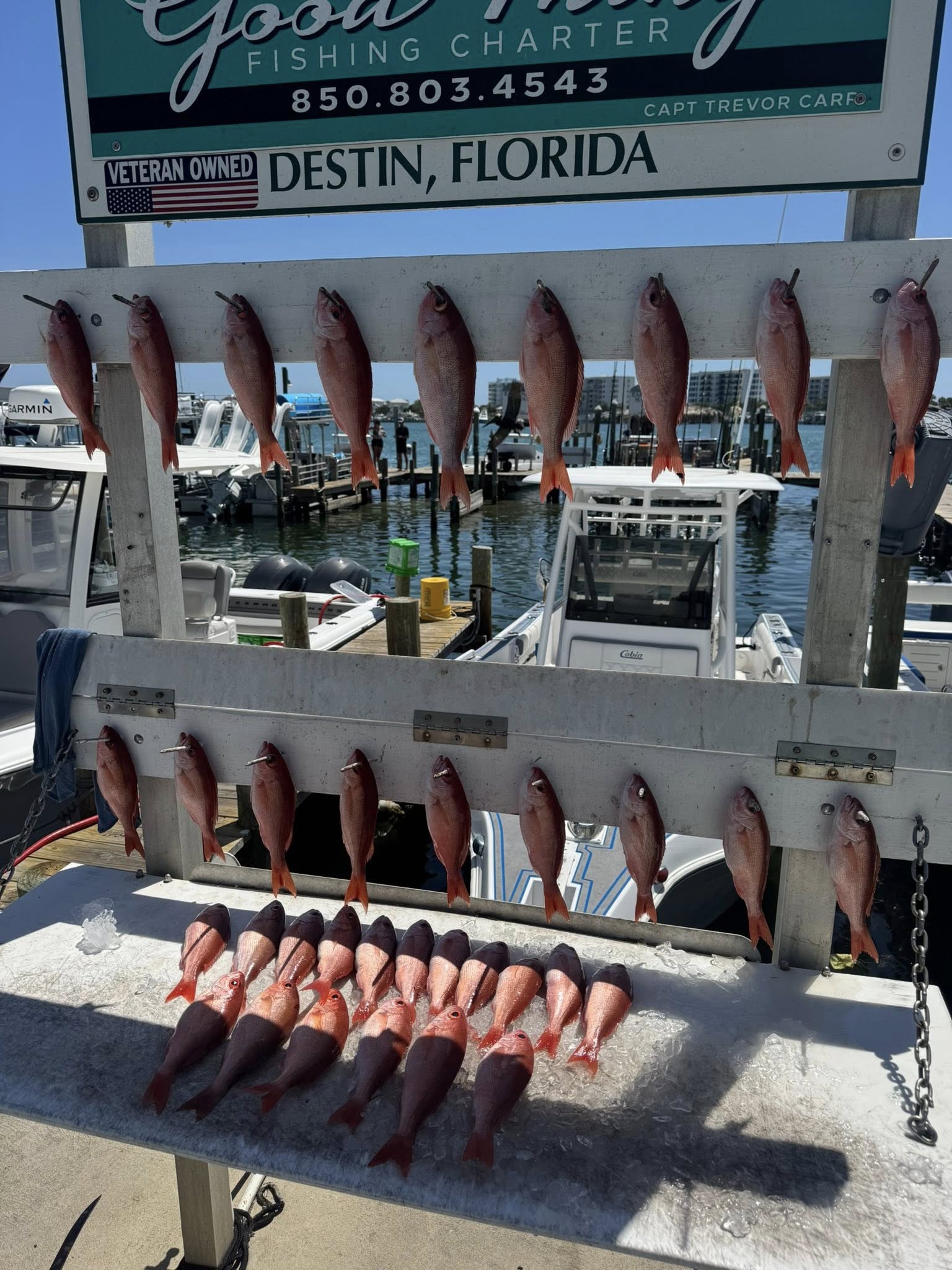 Red snapper fishing catch displayed on cleaning station in Destin Florida