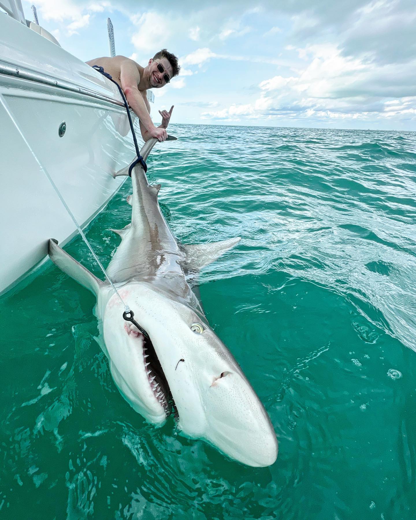 Dusky Smooth-Hound fish caught in FL