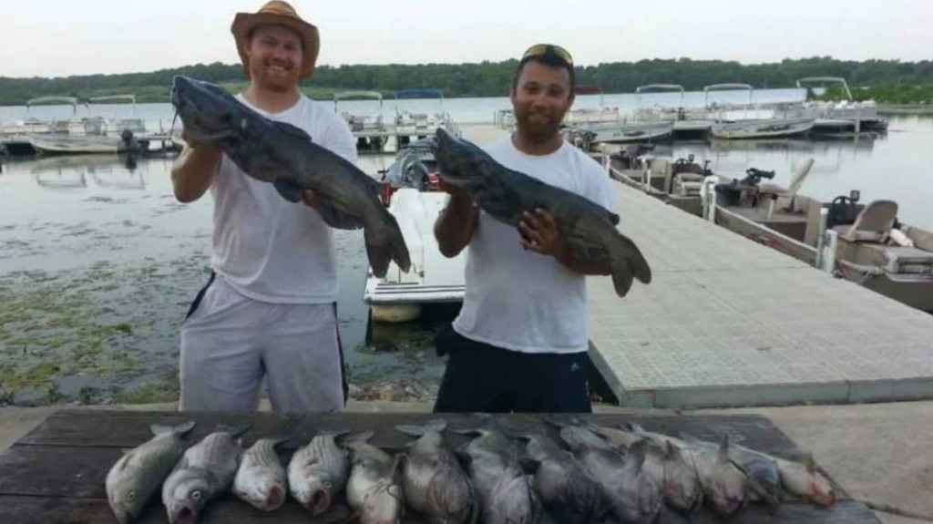 Two flathead catfish caught fishing in IL