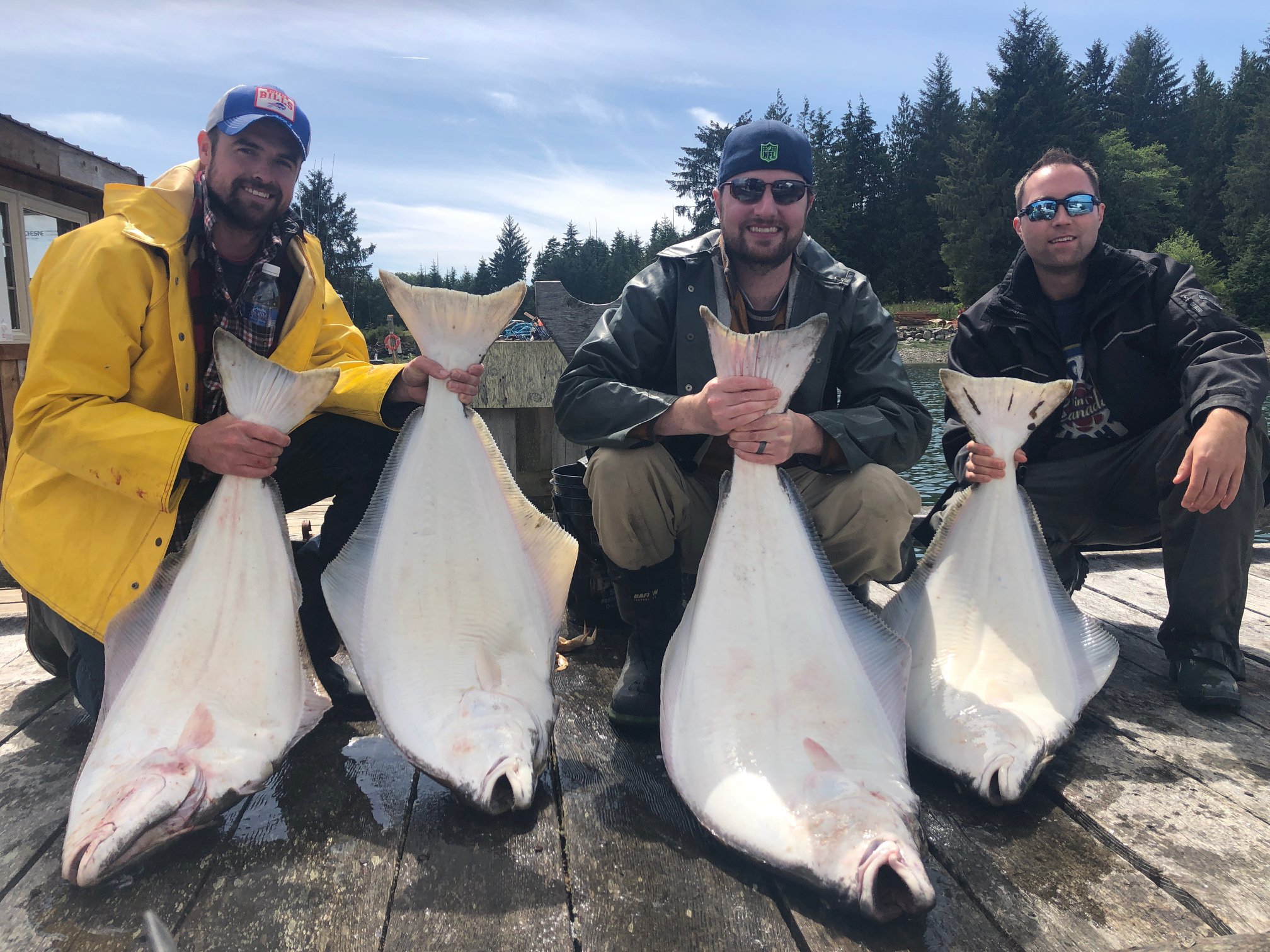 Four Pacific Halibut, a catch from fishing in Ucluelet