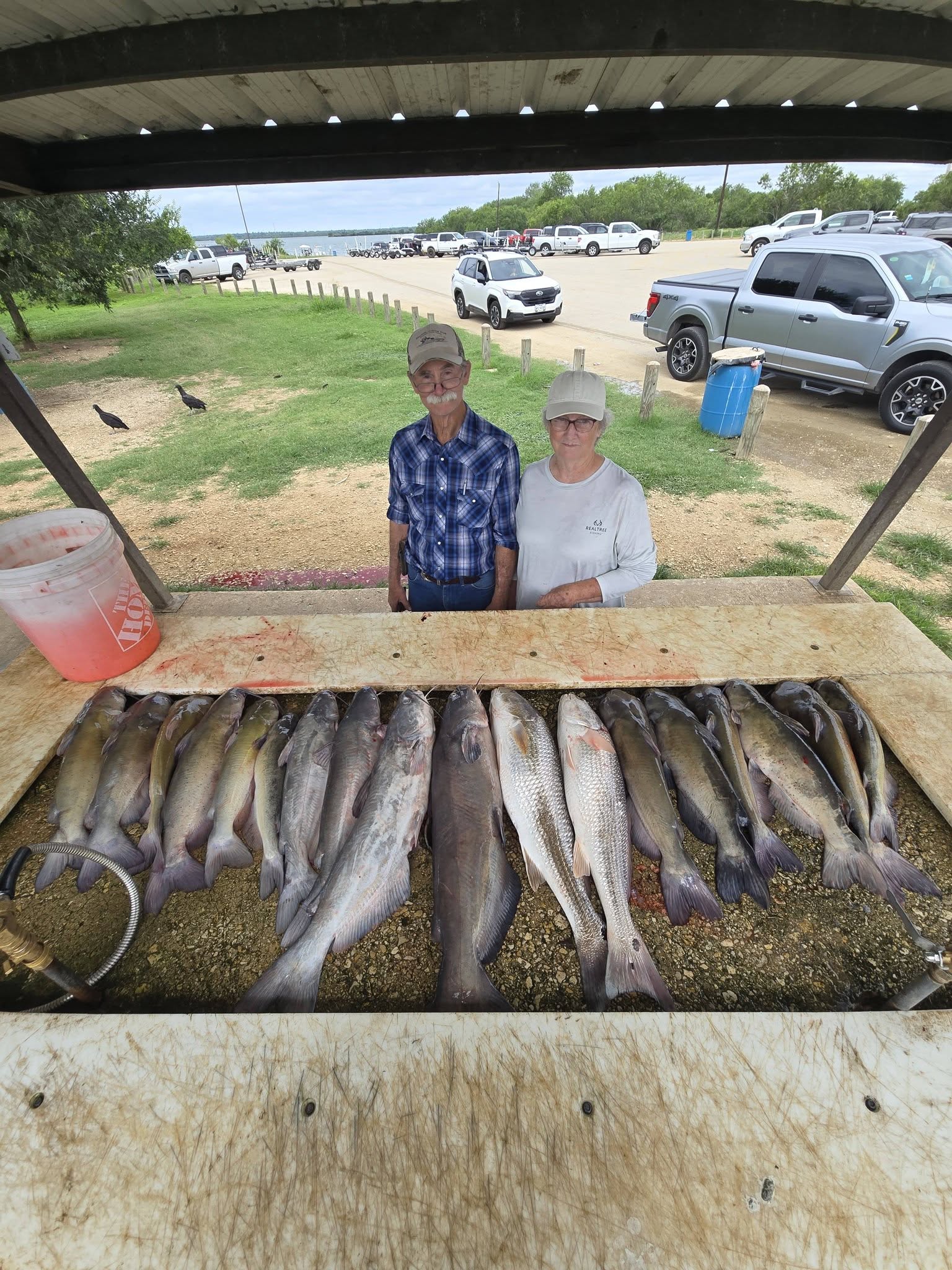 Fresh caught redfish, blue catfish, channel catfish and white catfish displayed on cleaning table at San Antonio fishing location