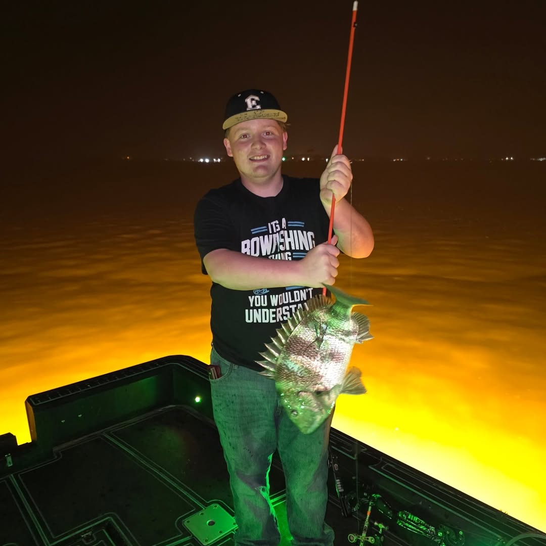 Night fishing catch of sheepshead in Ohio with underwater lighting illuminating the fish