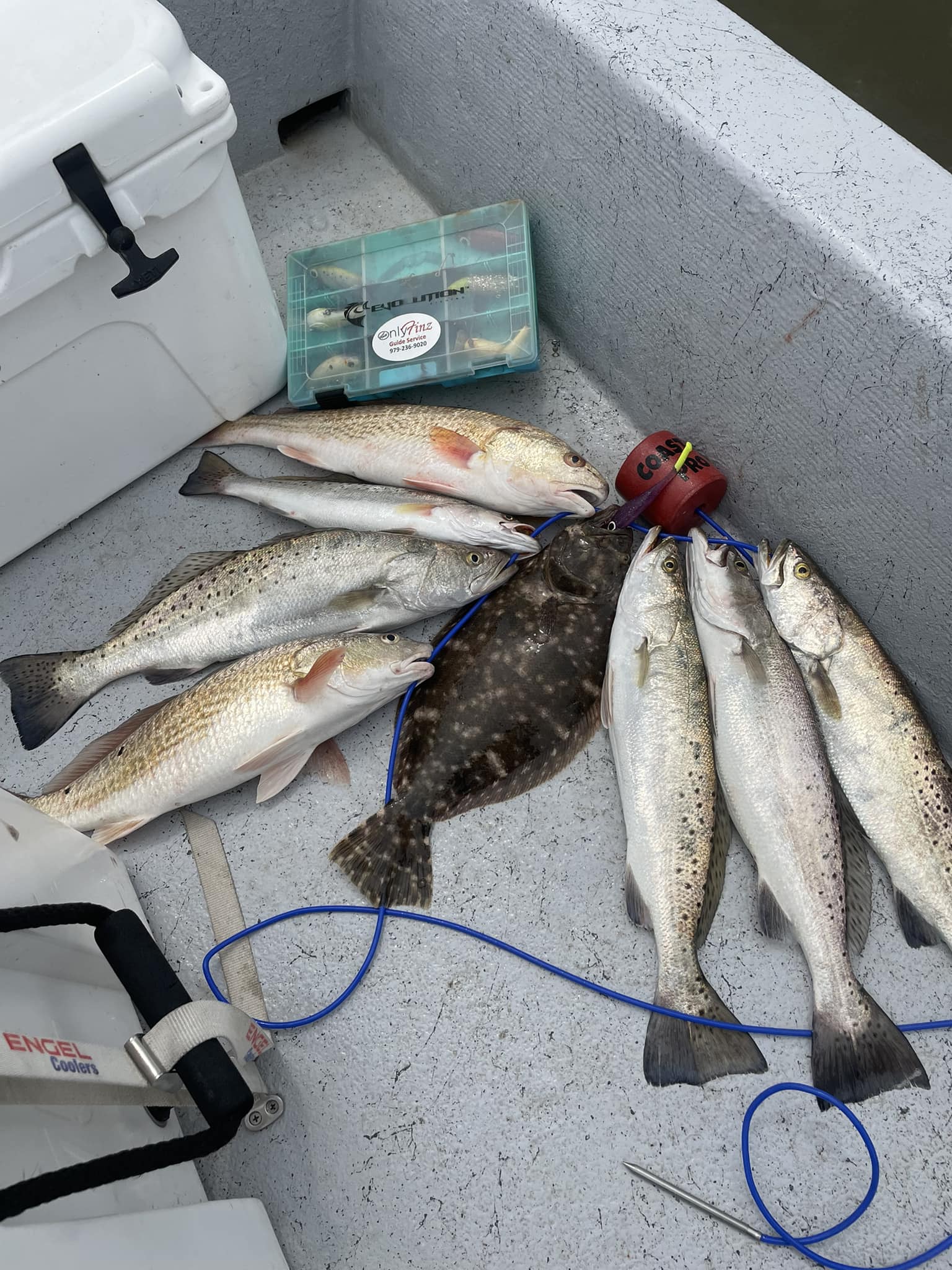 5 southern flounder and spotted weakfish caught in Freeport