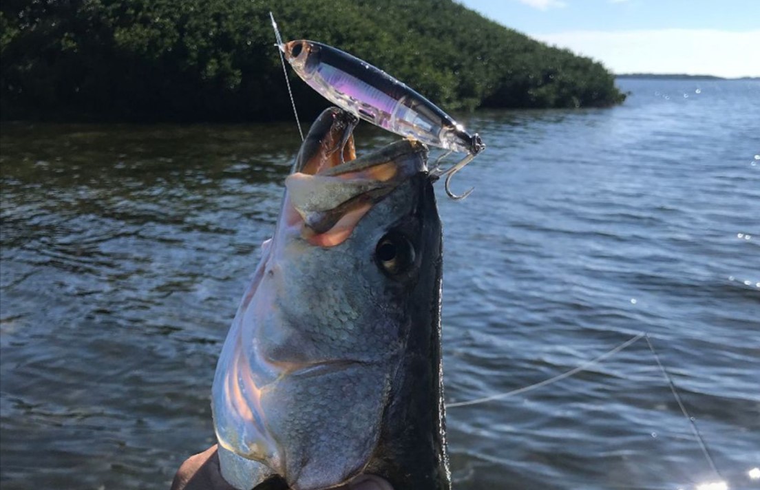 A person fishing in the waters of FL