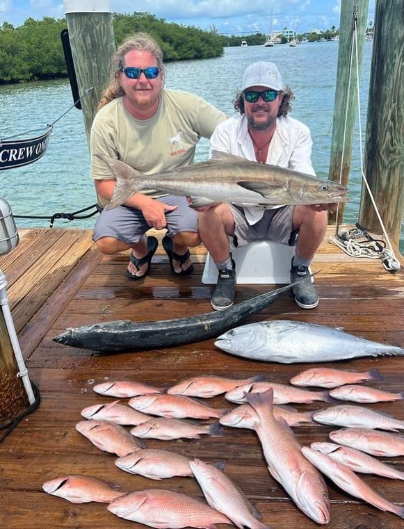 4 cobia fish caught in FL