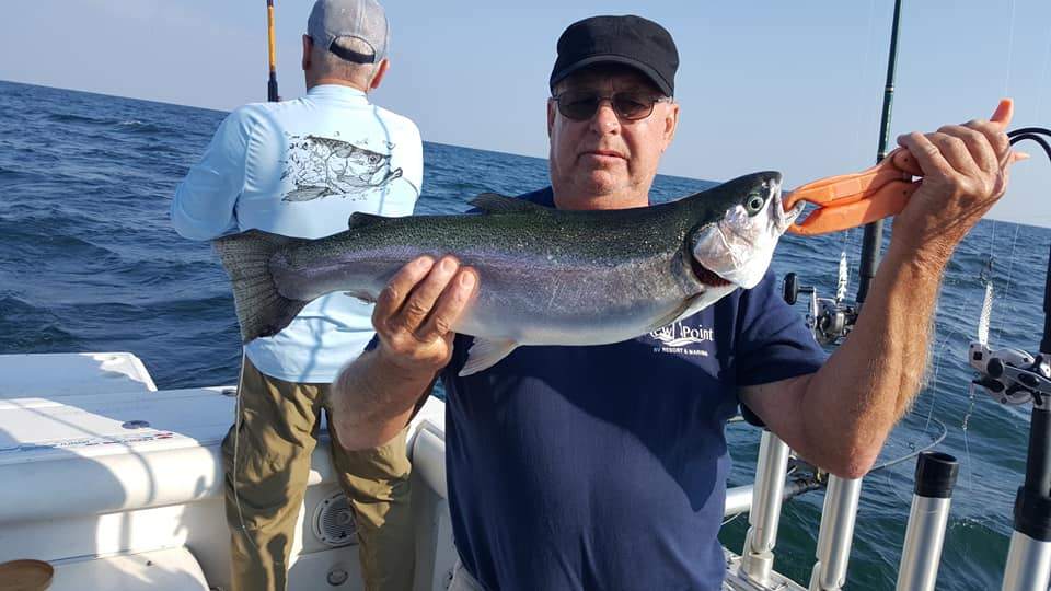 Photograph of a single rainbow trout caught in Fairview